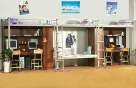 連發(fā)科教組合公寓床g014圖片,連發(fā)科教組合公寓床g014高清圖片 東莞市連發(fā)科教辦公設備廠,