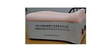 背部仿真針刺練習平臺 現(xiàn)代醫(yī)學(xué)教育的創(chuàng)新科教設(shè)備
